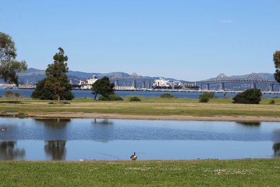 Miller/Knox Regional Shoreline